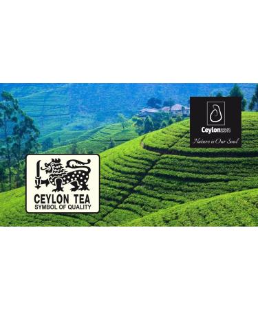Premium Ceylon Green Tea Classic Taste 50 Individually Foil-Wrapped Tea Bags Fresh Rich Flavor of Natural Green Tea Leaves 50 Count (Pack of 1) - Buy Online on GoSupps.com