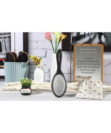 Bestool Paddle Detangler Hair Brush with Metal Bristles | Anti-Static for Women, Men, Kids | Detangling & Massaging | For All Hair Types | Wet & Dry | Daily Use - Buy Online on GoSupps.com