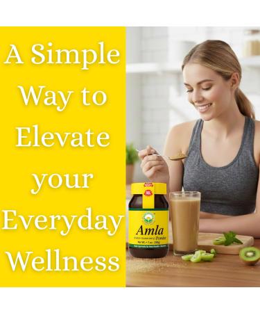 BASIC AYURVEDA Amla Powder | 7.05 Oz (200g) | 100% Raw & Natural Indian Gooseberry (Amalaki) for Hair Skin & Immunity | No Additives | Ideal for Smoothies DIY Masks Herbal Use & Wellness - Buy Online on GoSupps.com