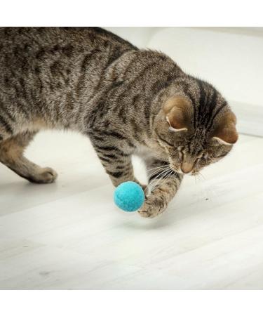 Xiwupo 50-Piece Cat Toy Balls - Felt Balls for Cats & Kittens - Perfect for Chasing & Catching Fun - Buy Online on GoSupps.com