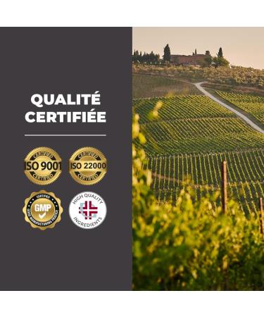 Bandini Biotin Deluxe Hair Growth + Selenium + Zinc - 365 Tablets for Skin Health and Hair - High Dosage and Absorption - Hair Growth - 1 Year Treatment - Buy Online on GoSupps.com