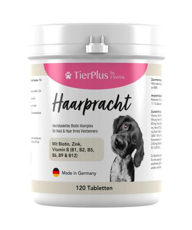 Tierplus hair splendor high-dose biotin complex for dogs against hair loss itching & dry skin- for a shiny fur & beautiful skin 120 tablets - Buy Online on GoSupps.com