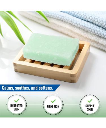 T.Taio Aloe Vera Soap Sponge | Gentle Shower Scrubber for Dirt & Oil Removal | Massage & Lather Foot Elbow & Face | Fresh Scent Bathroom Accessory - International Shipping Available - Buy Online on GoSupps.com