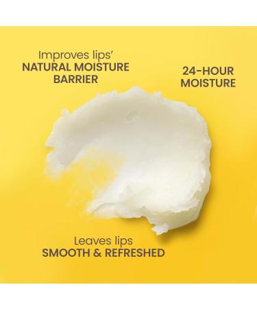 Burt s Bees Lavender Vanilla Moisturizing Lip Balm Flavorful Lip Balm Provides 12 Hour Moisture 100% Natural Origin Responsibly Sourced Beeswax 0.15 Ounce Tube - Buy Online on GoSupps.com