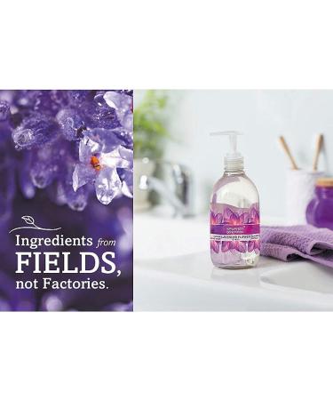 Seventh Generation Lavender Hand Wash - 12oz - Pack of 1 - Buy Online on GoSupps.com