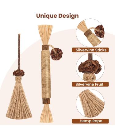 Aucenix Cat Chew Toy Silvercine Sticks for Indoor Cats Natural Matatabi Cat Teeth Cleaning Toy Kitten Teething Chew Stick for Kitty Pets Exercise Playing Chewing (2 Brooms+1 Stick) - Buy Online on GoSupps.com
