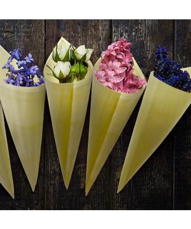 Betinyar Pack of 150 Disposable Wood Food Cone Finger Foods Cones for Appetizers Ice Cream Food Tasting Cones for Buffets Parties (150pcs 5") 150 Count (Pack of 1) - Buy Online on GoSupps.com