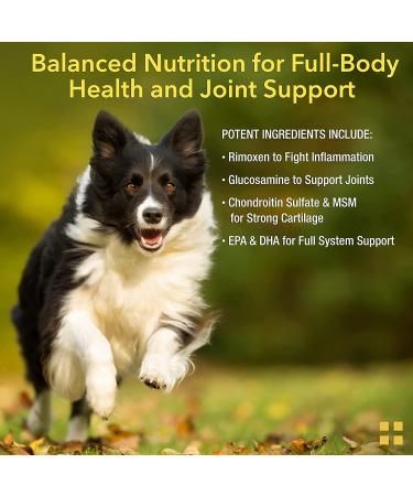 Animal Pharmaceuticals ZM-Ultra Joint Support Soft Chews for Dogs & Cats - 60 ct - Glucosamine Chondroitin - Hip & Joint Health Supplement - Buy Online on GoSupps.com
