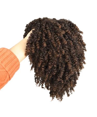 Hanne Fashion Short Kinky Curly Ombre Brown Wig | Side Part Afro Curly Synthetic Wig for Black Women | Heat Resistant Fiber | 1B/30 - Buy Online on GoSupps.com