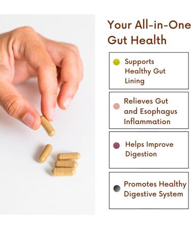 Acid & Indigestion Relief | Doctor-Formulated Antacid Alternative with Ginger Curcumin & Spearmint - 30 Servings - Buy Online on GoSupps.com