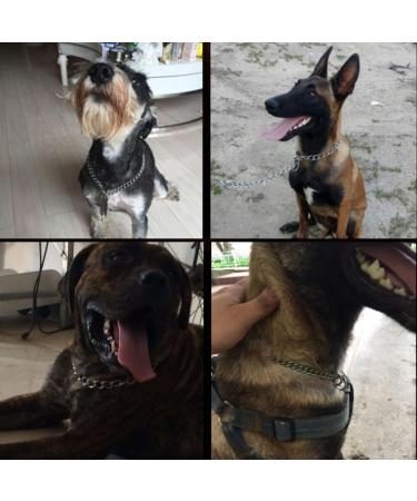 BAIYSFFG Metal Choke Chain for Dog Dog Choker Silver Plating No Pull Pet Collar Chain for Medium Dogs Training Walking (55cm) - Buy Online on GoSupps.com