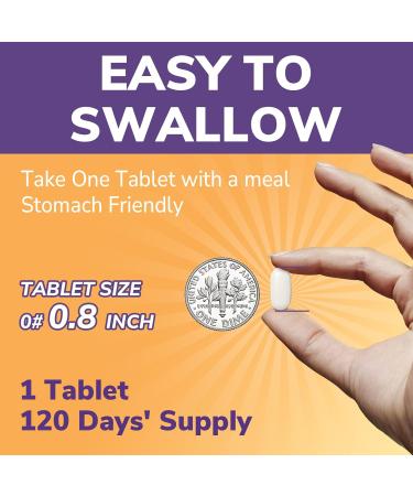 Vitalibre L-Lysine 1000 mg, High Potency L-Lysine HCl, Free Form Essential Amino Acid, Protein & Collagen Synthesis, Immune Support, Maximum Absorption, Vegan, 120 Tablets - Buy Online on GoSupps.com