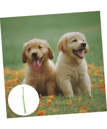 INOOMP 2 Pcs Pet Single Head Toothbrush Cat Toothbrush Cat Toothpaste Cleaning Kits Puppy Manual Fine Fiber 1 count (Pack of 1) Random Colorx2pcs - Buy Online on GoSupps.com