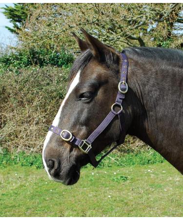 Rhinegold nylonhaler Shetland plum