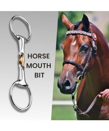 Buy 21mm Double Broken Olive Hollow Copper Connector | Stainless Steel Olive Head Bite & Rinse | Lightweight 11.5 - Buy Online on GoSupps.com