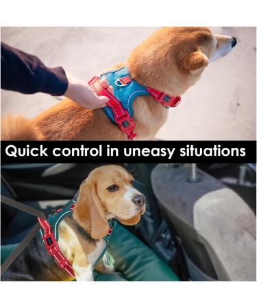 Phoepet No Pull Dog Harness - Reflective Vest with Soft Training Handle for All Sizes - XL Blue-Green & Red - Buy Online on GoSupps.com