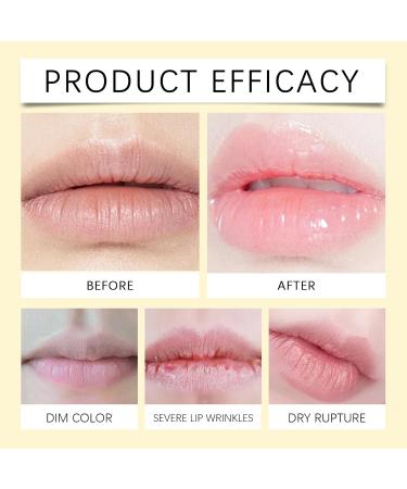  Beslibate Moisturizing Lip Balm Bee Lip Butter Bee Lip Balm 12 Hours Long Lasting Hydration Moisturizing Dried Lips for Daily Use 15g Lipmask-3 - Buy Online on GoSupps.com