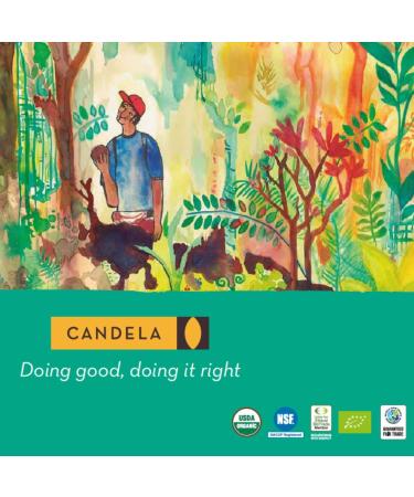 Buy Organic Raw Cupua u Butter 1lb (454g) - 100% Pure Fair Trade from Peru - 16 Ounce - Best for Skin & Hair Care - Buy Online on GoSupps.com