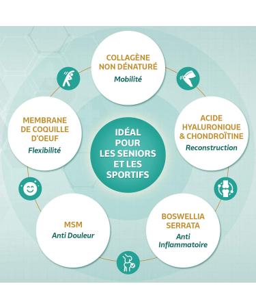 Solage Laboratory Solage Laboratory Solage Undenatured Collagen Type 2 Special for Sporting and Senior Joints - Buy Online on GoSupps.com