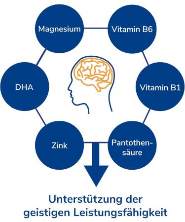 FOCUS IQ - Enhance Brain Function & Cognitive Performance for Smart Minds | International Shipping Available - Buy Online on GoSupps.com