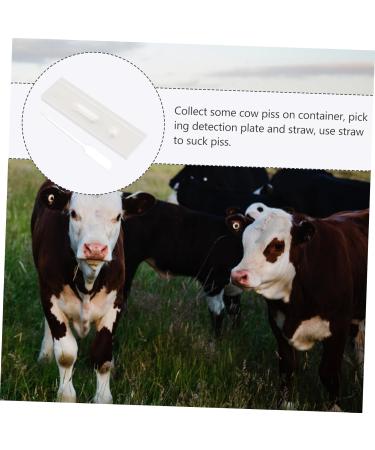 Buy Homsfou Pregnant Tester Strips for Animals - Early Pregnancy Test for Sheep - 1 Pack - Buy Online on GoSupps.com