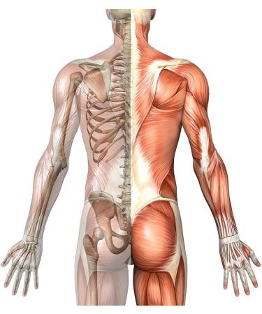 Greenfood Vitamin D3 1000 IU high dose 180 tablets vegan - derived from lichens. For the maintenance of normal teeth NO artificial additives no genetic engineering. - Buy Online on GoSupps.com