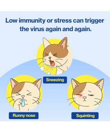 Doctor By FELYSIN (Feline + L-lysine) L-lysine for Cats Lysine Supplements Immune Support Allergy Relief Sneezing Runny Nose Watery Eyes Respiratory Treatment with Beta-glucan 30 Lickable Formula - Buy Online on GoSupps.com