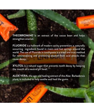 LINHART Whitening Toothpaste - Enamel Strengthening Natural & Organic with Mint Flavor - 3.4 oz - Buy Online on GoSupps.com