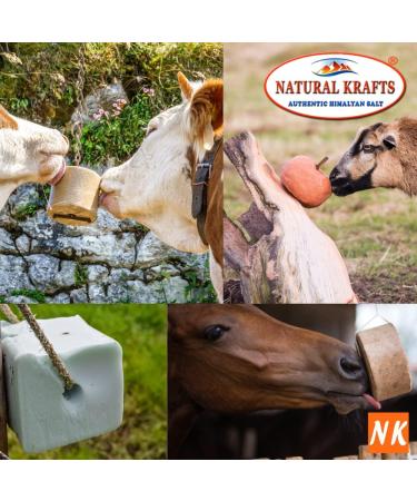 Natural Krafts Himalayan Salt Lick for Horses, Cattle, Sheep - 1-1.5 KG with Hanging Rope - Buy Online on GoSupps.com