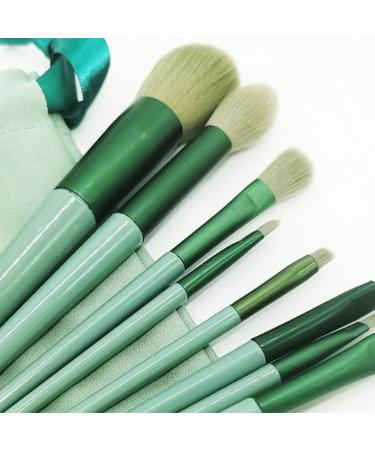 13-Piece Green Reusable Portable Cosmetic Makeup Brushes Set - Professional Quality - Buy Online on GoSupps.com