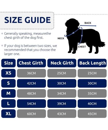 Cit toile Dog Wedding Suit Set | Tuxedo Shirt for Dogs & Cats - Perfect for Weddings Birthdays & Halloween | Blue - Sizes M & M - Buy Online on GoSupps.com