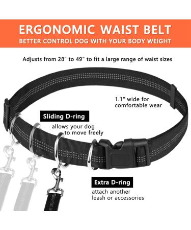 Pet Room Jogging Leash for Dogs - Reflective & Elastic Belt for Running Hiking | Perfect for Large & Medium Dogs - Buy Online on GoSupps.com