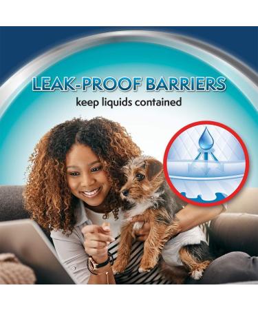 Buy Simple Solution Disposable Dog Diapers for Bitches - Super Absorbent & Spout-Safe Fit - Watine Indicator 12 Pack Extra-Small - Buy Online on GoSupps.com