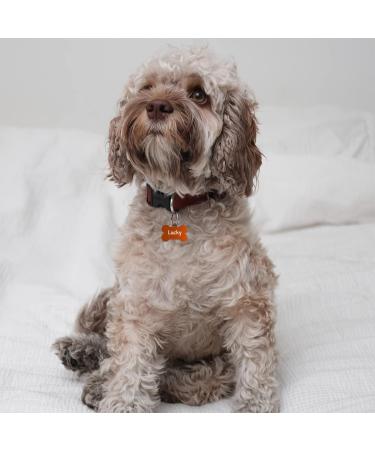 Custom Engraved Orange Dog Tag Bone - Small 32mm with 2 Key Rings | ENGRAVO International Shipping - Buy Online on GoSupps.com