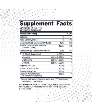Type Zero AminoBurn - Sugar Free Natural Pre Workout + BCAA Supplement | Fruit Punch | 30 Servings | Keto Friendly Amino Acids for Pre and Post Workout - Buy Online on GoSupps.com