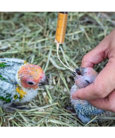 Buy Baby Bird Feeding Syringe - 1 Piece Dispenser with 20 Sterile Hoses for Small Animals Kittens & Puppies - Ideal for Scientific & Industrial Labs - Buy Online on GoSupps.com
