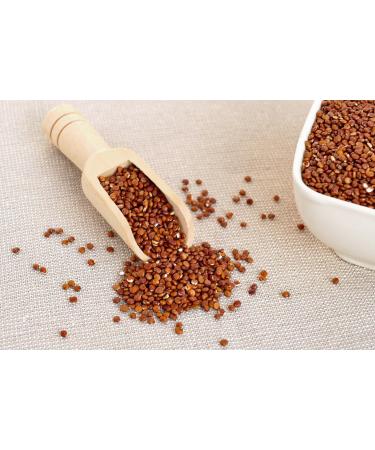 Buy Kamelur Organic Red Quinoa (500g) - Healthy Grain Substitute | International Shipping Available - Buy Online on GoSupps.com