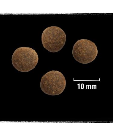 Crave Dry Dog Food for Adult Dogs 1+ with Lamb and Beef 1 Pouch (1 x 1 kg) - Buy Online on GoSupps.com