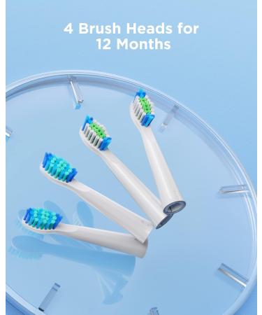 Buy 4 Replacement Heads for Bitvae Sonic Toothbrush Daily D2 Enhanced Oral Care International Shipping Available - Buy Online on GoSupps.com