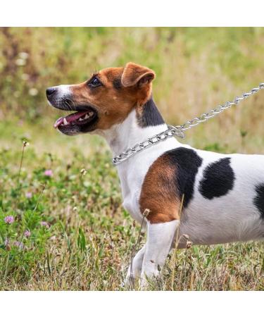 TIESOME Dog Chain Collar Pet Adjustable Metal Chain Collar Row Neck Leash Gear Choke Chain Heavy Duty Walking Training for Small Medium Large Dogs (55cm) - Buy Online on GoSupps.com