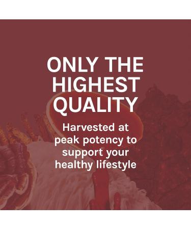 Host Defense Reishi Extract 1 fl oz - General Wellness Mushroom Supplement - Buy Online on GoSupps.com