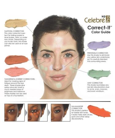 Mehron Makeup Celebr Pro-HD Correct-It Palette - Professional Concealer Palette - Buy Online on GoSupps.com