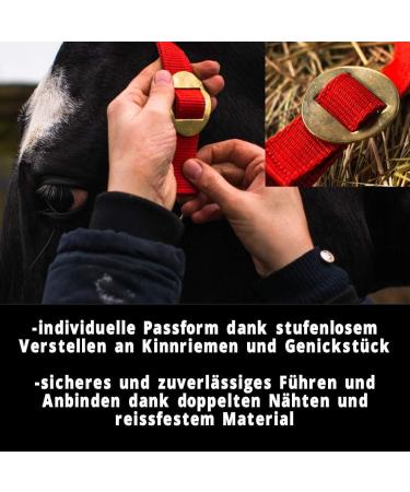 Premium Red Halter for Warmblood Thoroughbred & Cold Blood Horses - Adjustable Tear-Resistant Stable & Pasture Use - Buy Online on GoSupps.com