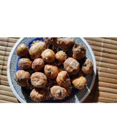 Portal Cool Tiger Nuts Cyperus Esculentus Terra Almond 'Valencia' 5 Tuberi freschi - Buy Online on GoSupps.com