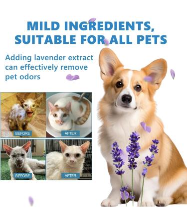 Wash Free Essence for Pets - Leave-in Conditioner & Detangling Spray for Cats & Dogs (1pc) - Buy Online on GoSupps.com