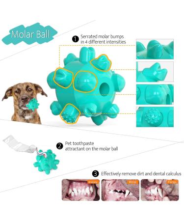 Dog Tie Out Cable & Stake Set with Spiral Ground Anchor & Chew Toy - Perfect for Camping & Backyard - Buy Online on GoSupps.com