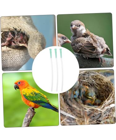 MipCase 3-Part Feeding Tool for Young Birds | Large Curved Probe | Pet Feeding Supply for Babies | Waves Bird Baby Spray 0.7x14cm - Buy Online on GoSupps.com