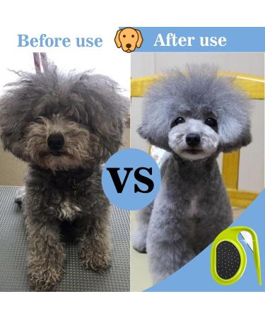 2-Piece Pet Knotting Comb Tool - Best Hair Removal Comb for Cats & Dogs | Remove Matted Hair - Green & Blue - Buy Online on GoSupps.com