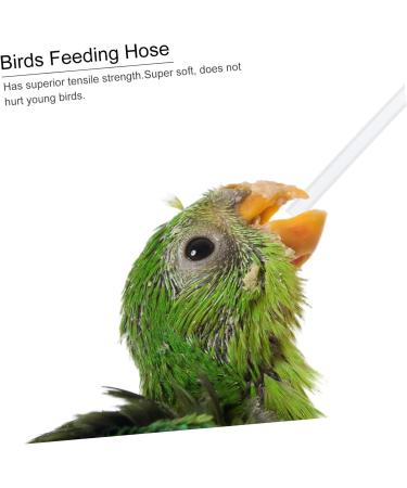 MipCase Parrot 9-Piece Milk Dispenser & Donor Feeding Device - Reusable Bird Feeder for Sick Animals - Ideal for Nymphensittich Supply - 0.7x14cm (3 PCS) - Buy Online on GoSupps.com
