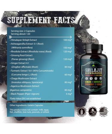 Shilajit for Men 8-in-1 Adaptogenic Supplement with Ashwagandha Cordyceps Ginseng Rhodiola Turmeric Chaga & Ginger Natural Energy Stress Relief & Immune Support 120 Vegan Capsules - Buy Online on GoSupps.com
